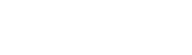 anal.ytics.de